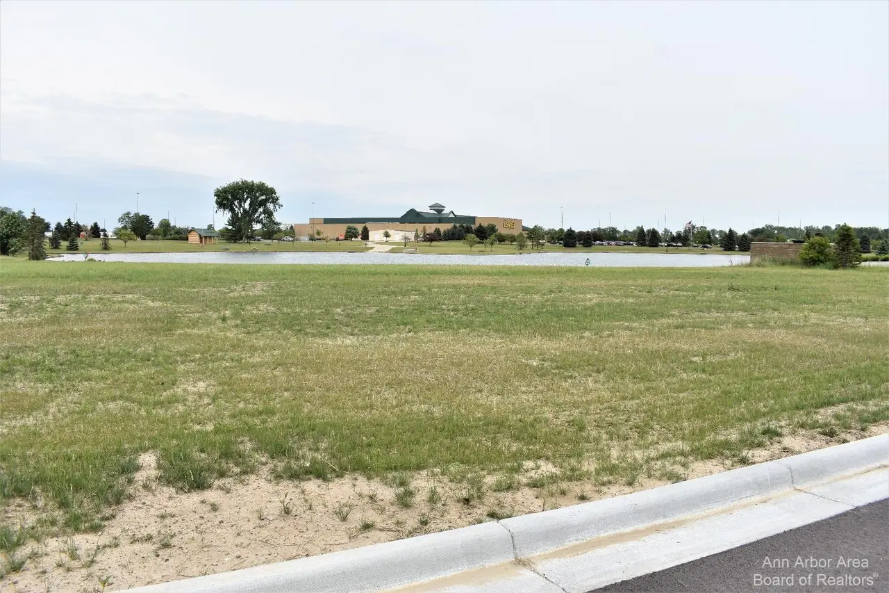 16484 Tecumseh, Dundee, MI 48131