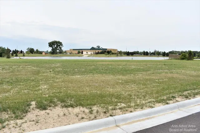 16484 Tecumseh, Dundee, MI 48131