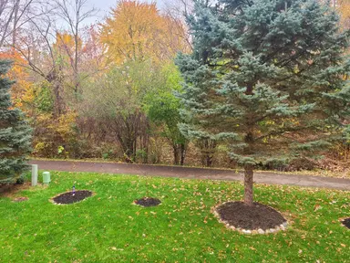 16544 Mulberry Way, Northville, MI 48168 — photo 5