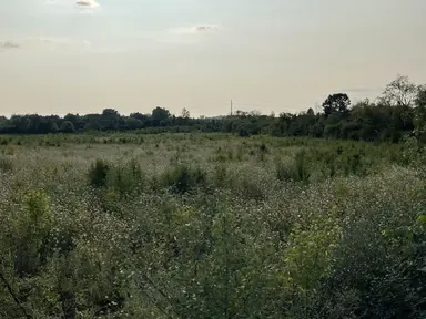 Lot 1 Munger Road, Ypsilanti, MI 48197 — photo 3
