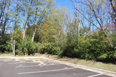 Vacant E Clark Road, Ypsilanti, MI 48198 — photo 5