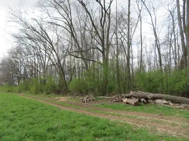 5193 Textile Road, Ypsilanti, MI 48197 — photo 3