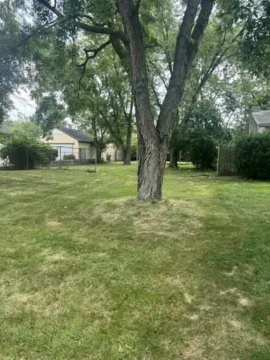 339 Ohio Street, Ypsilanti, MI 48198 — photo 4