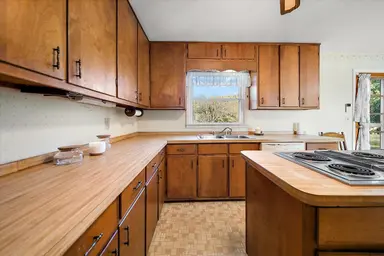 10733 Martz Road, Ypsilanti, MI 48197 — photo 4