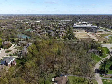 43490 Cottisford Street, Northville, MI 48167 — photo 4