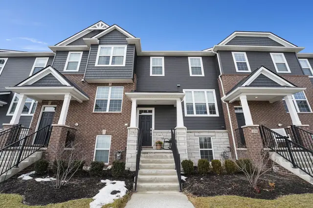 216 S Mill Street, Plymouth, MI 48170