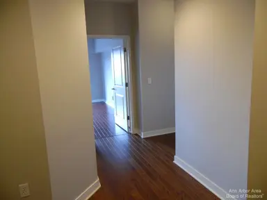 111 N Ashley Street 901, Ann Arbor, MI 48104 — photo 4
