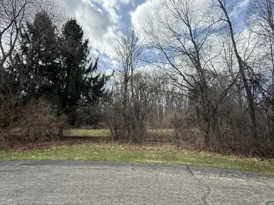 1192 Stags Leap Lane, Ann Arbor, MI 48103 — photo 5