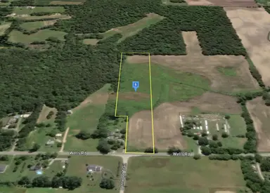 4385 Wells Road, Petersburg, MI 49270 — photo 2