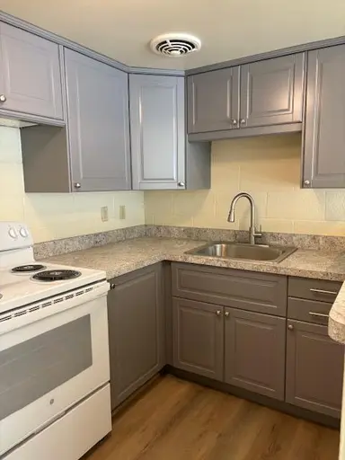 442 S 1st Street 5, Ann Arbor, MI 48103 — photo 5