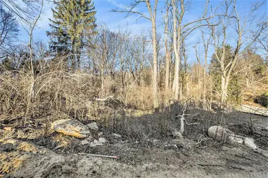 1864 Arlington Boulevard, Ann Arbor, MI 48104 — photo 4