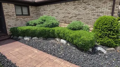 34565 Ann Arbor Trail, Livonia, MI 48150 — photo 4