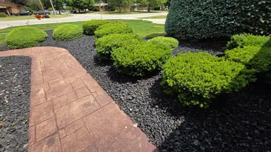 34565 Ann Arbor Trail, Livonia, MI 48150 — photo 5