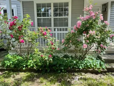 4299 Pine Ridge Court, Ann Arbor, MI 48105 — photo 4