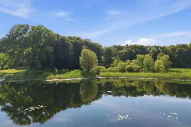 7544 Lake Hollow Court, Dexter, MI 48130 — photo 2