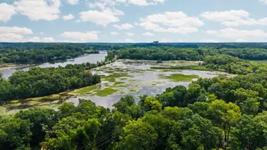 3595 E Huron River Drive, Ann Arbor, MI 48104 — photo 4