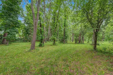 Winters Lane, Whitmore Lake, MI 48189 — photo 5