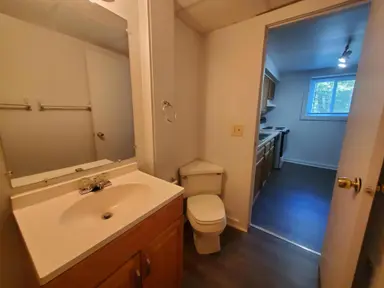 428 N Washington Street, Ypsilanti, MI 48197 — photo 3