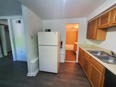 428 N Washington Street, Ypsilanti, MI 48197 — photo 2