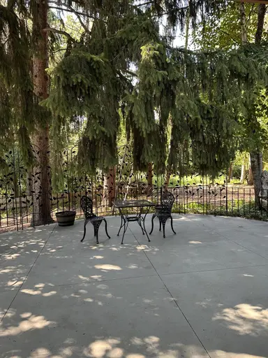 2631 N Maple Road, Ann Arbor, MI 48103 — photo 3