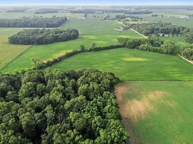 V Gramlich Road, Maybee, MI 48159 — photo 2