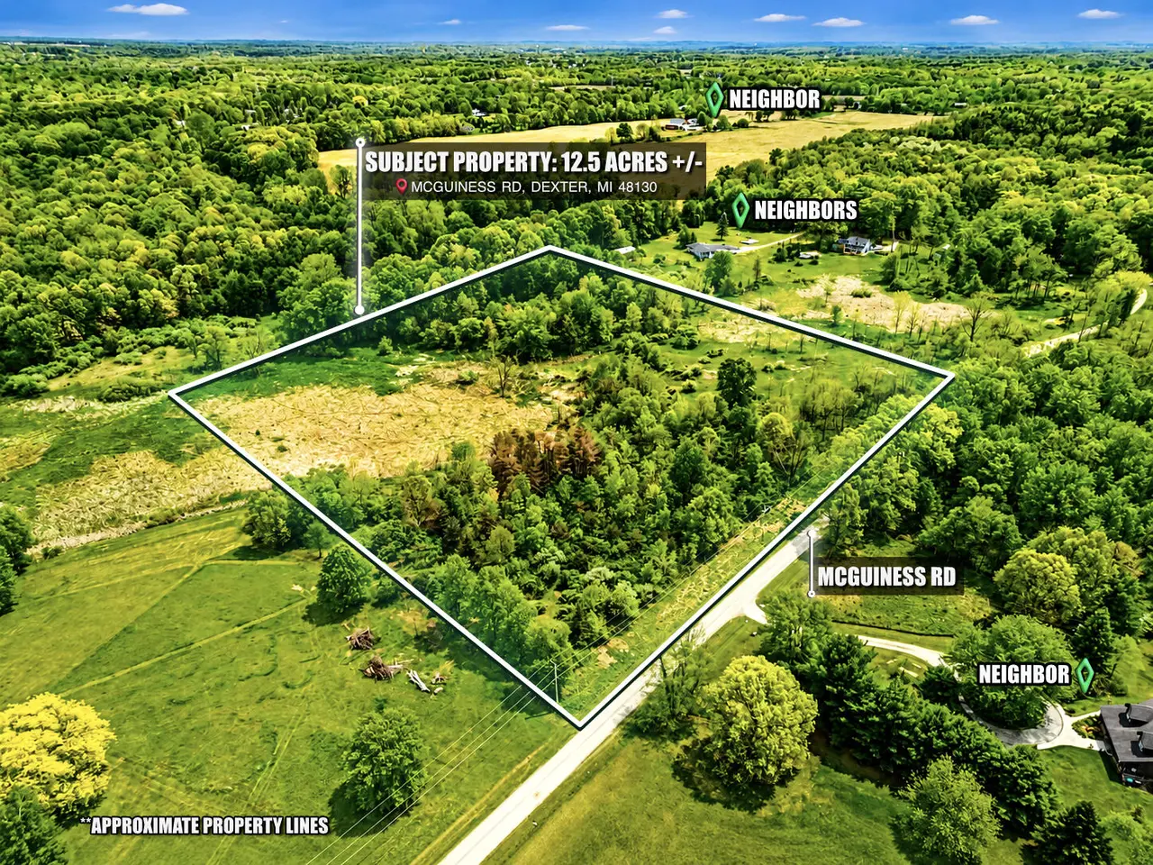 00000 McGuiness Road, Dexter, MI 48130