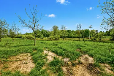 00000 McGuiness Road, Dexter, MI 48130 — photo 3