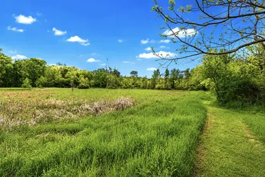 00000 McGuiness Road, Dexter, MI 48130 — photo 4