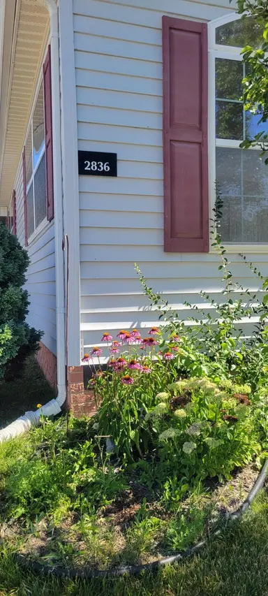 2836 Verona Drive, Northville, MI 48167 — photo 2