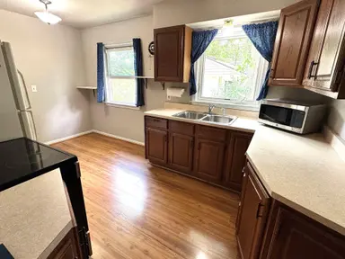 907 Bruce Street, Ann Arbor, MI 48103 — photo 4