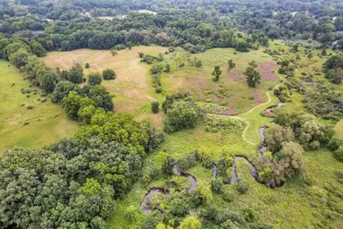 Pine Ridge Court, Ann Arbor, MI 48103 — photo 3