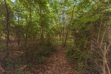 6450 E Michigan Avenue, Saline, MI 48176 — photo 5
