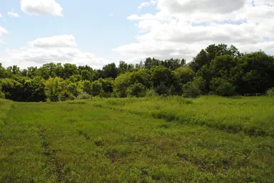 3190 Luna Drive, Dexter, MI 48130 — photo 4