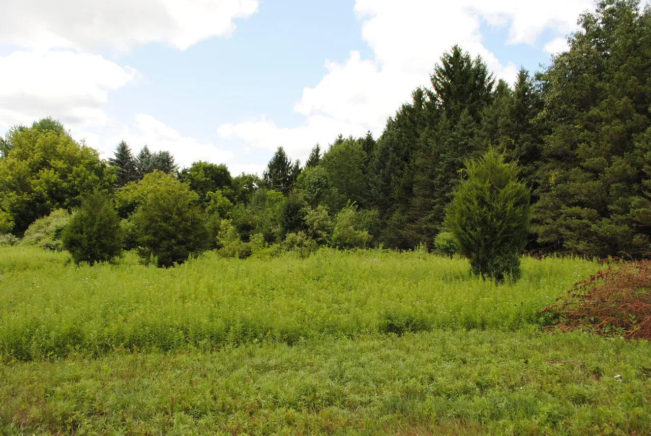 3168 Luna Drive, Dexter, MI 48130