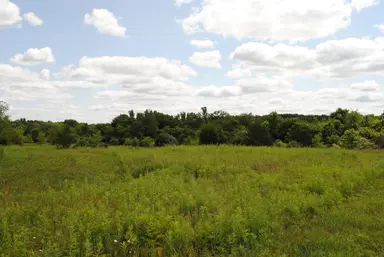 3168 Luna Drive, Dexter, MI 48130 — photo 5