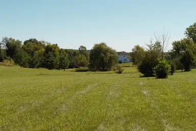 11490 Castleton Court, Dexter, MI 48130 — photo 2