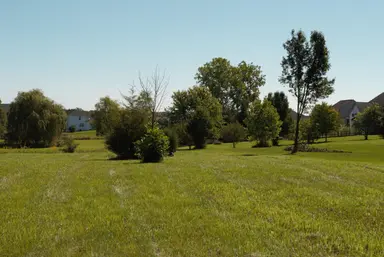 11490 Castleton Court, Dexter, MI 48130 — photo 3