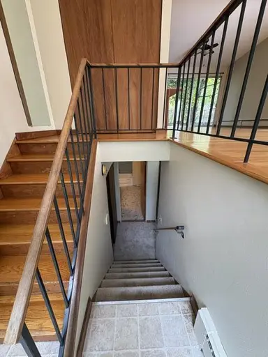 1011 Olivia Avenue, Ann Arbor, MI 48104 — photo 5