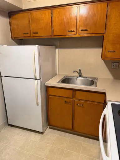 233 Collingwood Drive, Ann Arbor, MI 48103 — photo 4