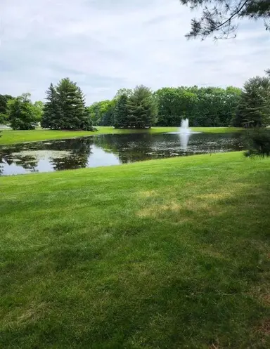 5628 Versailles Avenue E, Ann Arbor, MI 48103 — photo 2