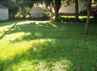 18 Tower Drive, Saline, MI 48176 — photo 5