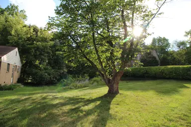 1305 Linwood Avenue, Ann Arbor, MI 48103 — photo 5
