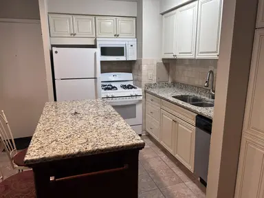 1261 Island Drive 204, Ann Arbor, MI 48105 — photo 2