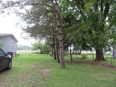 16788 Ida West Road, Petersburg, MI 49270 — photo 2