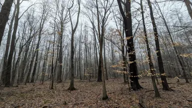 Tuttle Hill Road, Willis, MI 48191 — photo 3