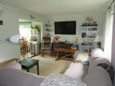 16788 Ida West Road, Petersburg, MI 49270 — photo 5