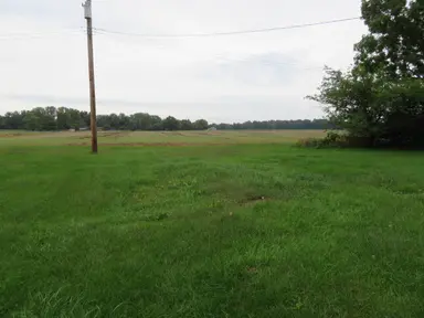 16788 Ida West Road, Petersburg, MI 49270 — photo 4