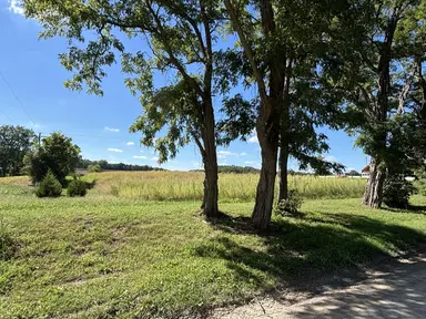 Parcel B Mooreville Road, Saline, MI 48176 — photo 3