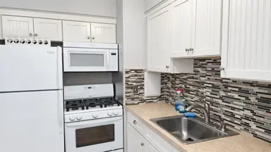 1217 Island Drive 204, Ann Arbor, MI 48105 — photo 2