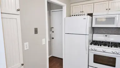 1217 Island Drive 204, Ann Arbor, MI 48105 — photo 3